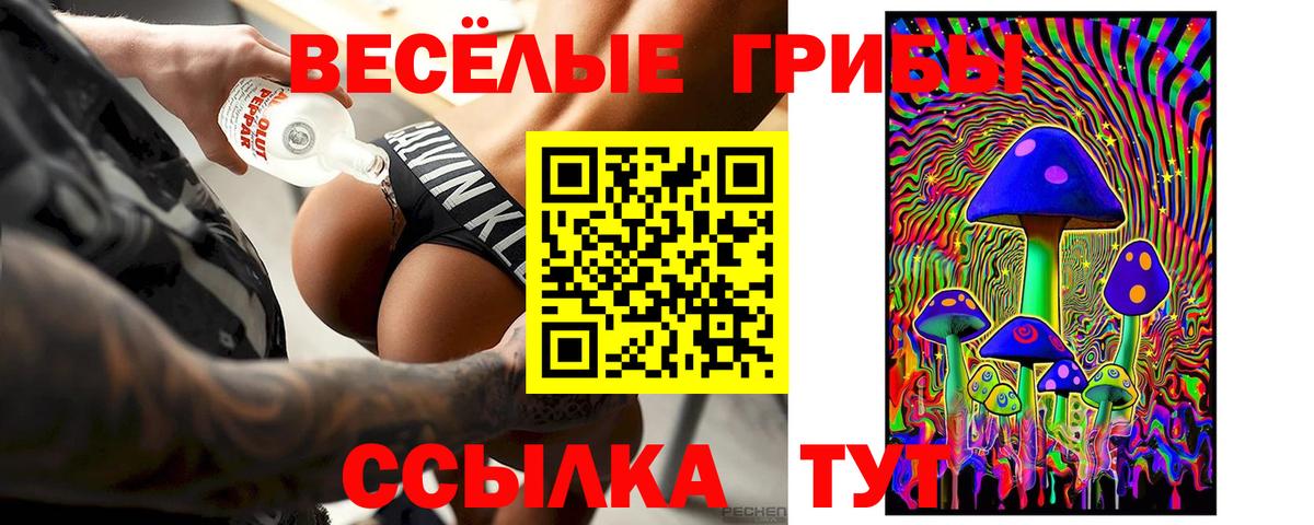 Тара  Псилоцибиновые грибы ЛСД  Галлюциногенные грибы Cubensis  Вход с VPN 